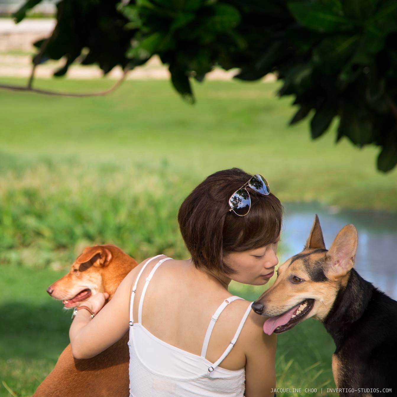 Rescues Are Worth It: Poh Bee, Megan & Hazel