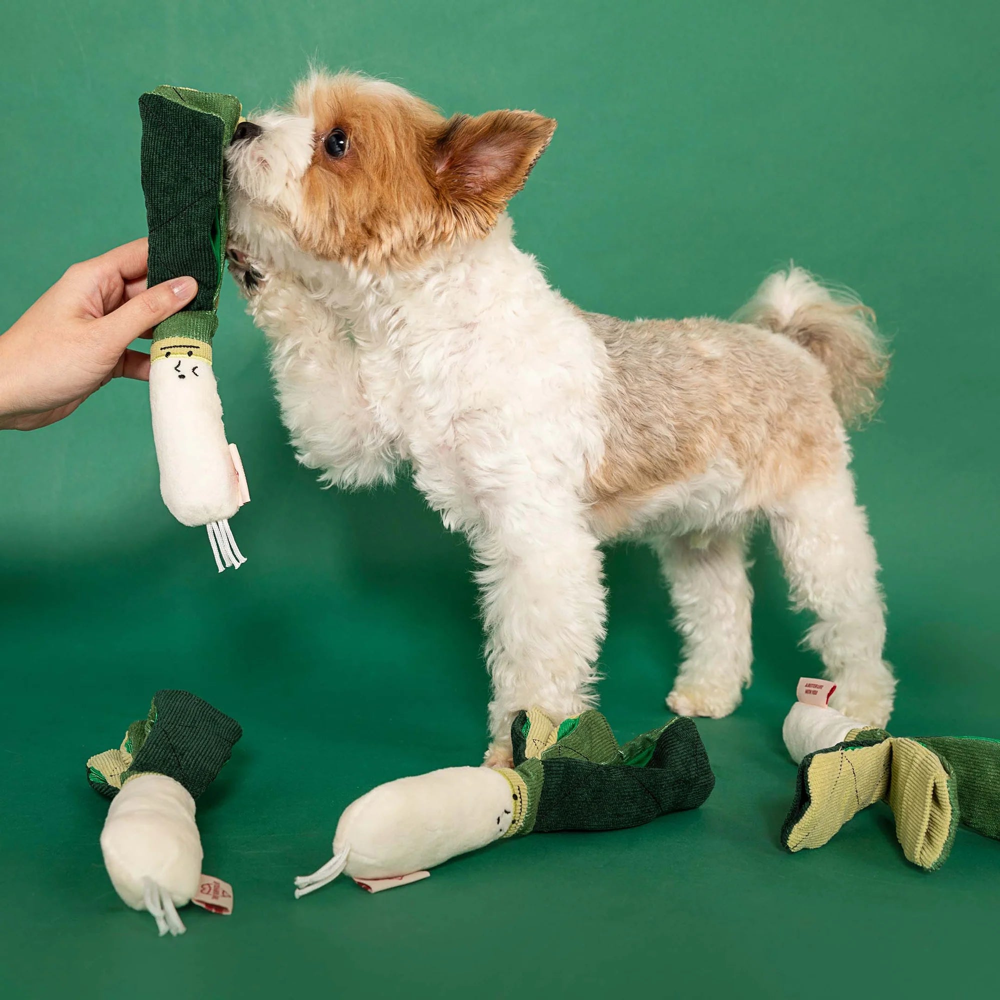The FurryFolks Green Onion Squeaky Nosework Dog Toy