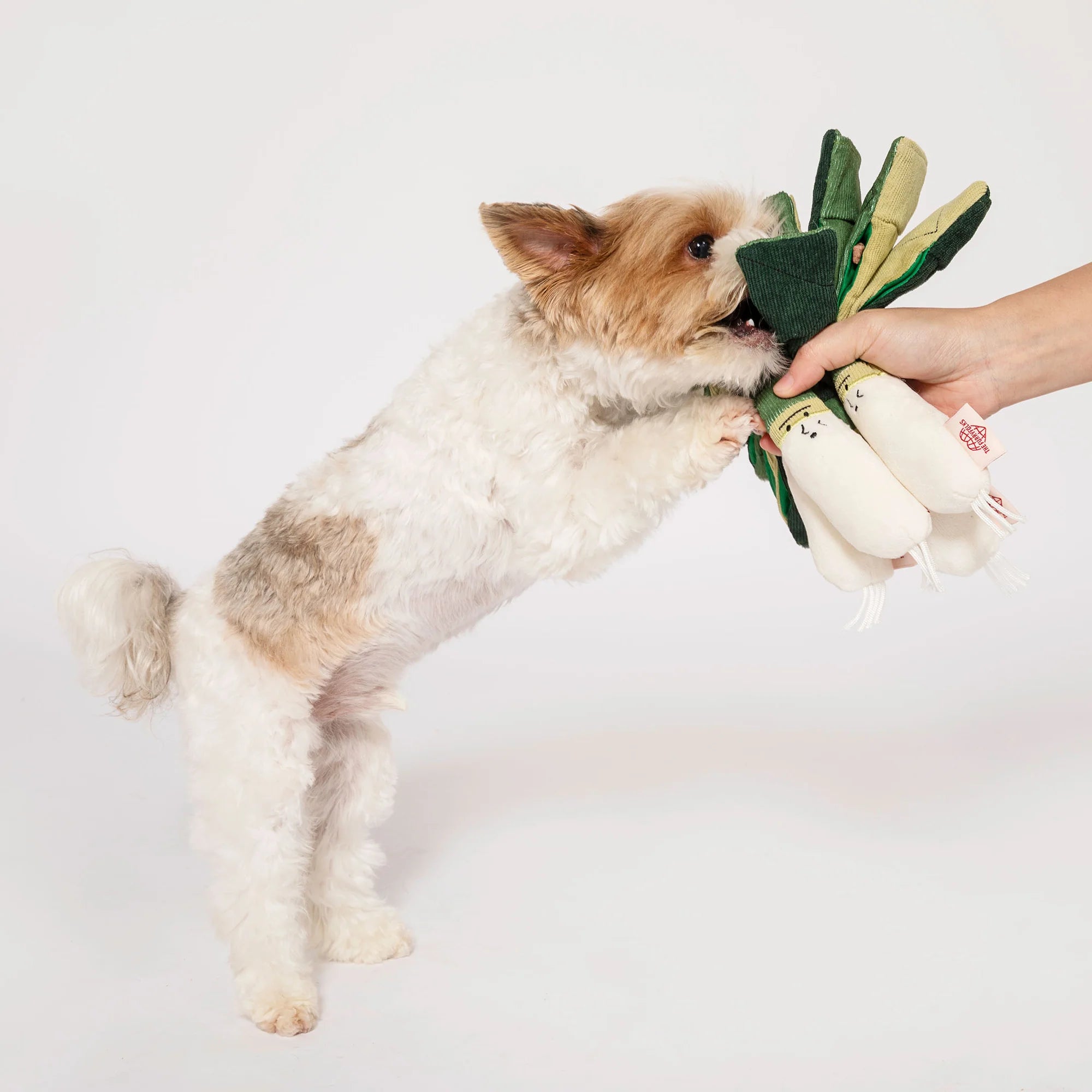The FurryFolks Green Onion Squeaky Nosework Dog Toy
