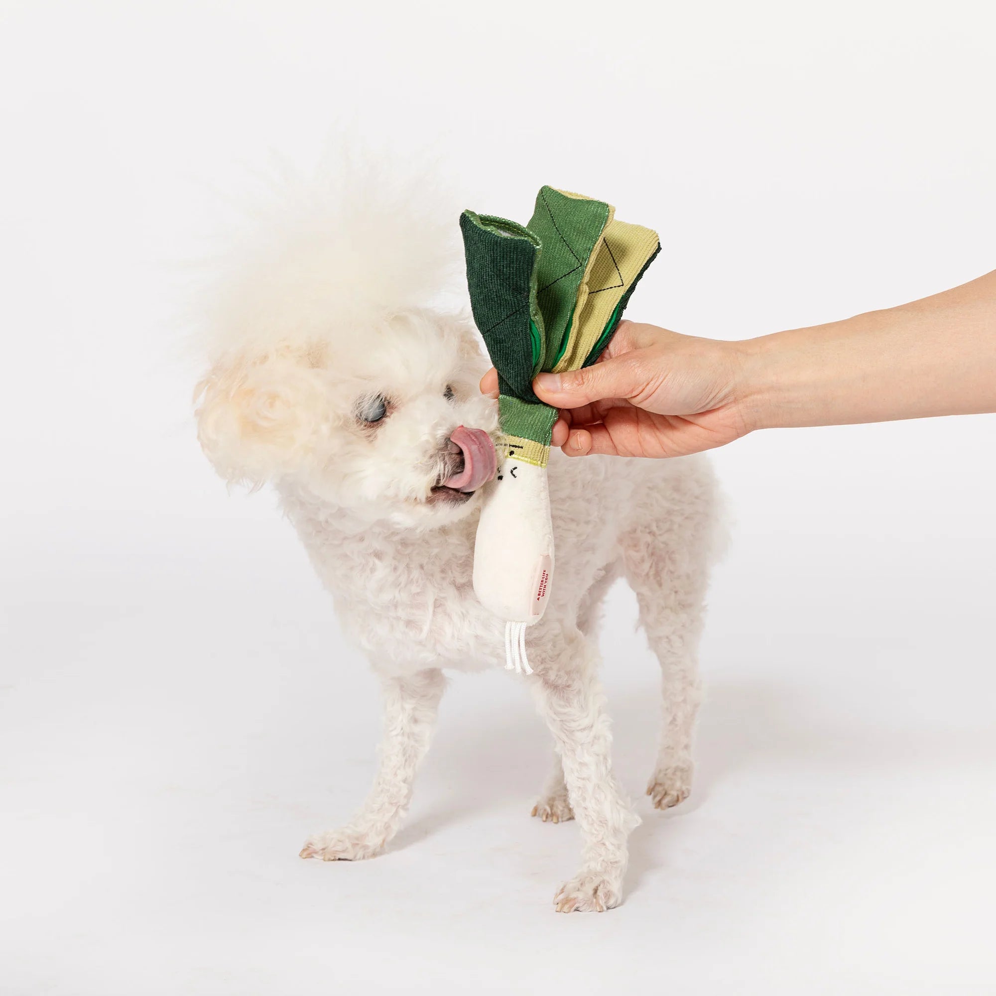 The FurryFolks Green Onion Squeaky Nosework Dog Toy
