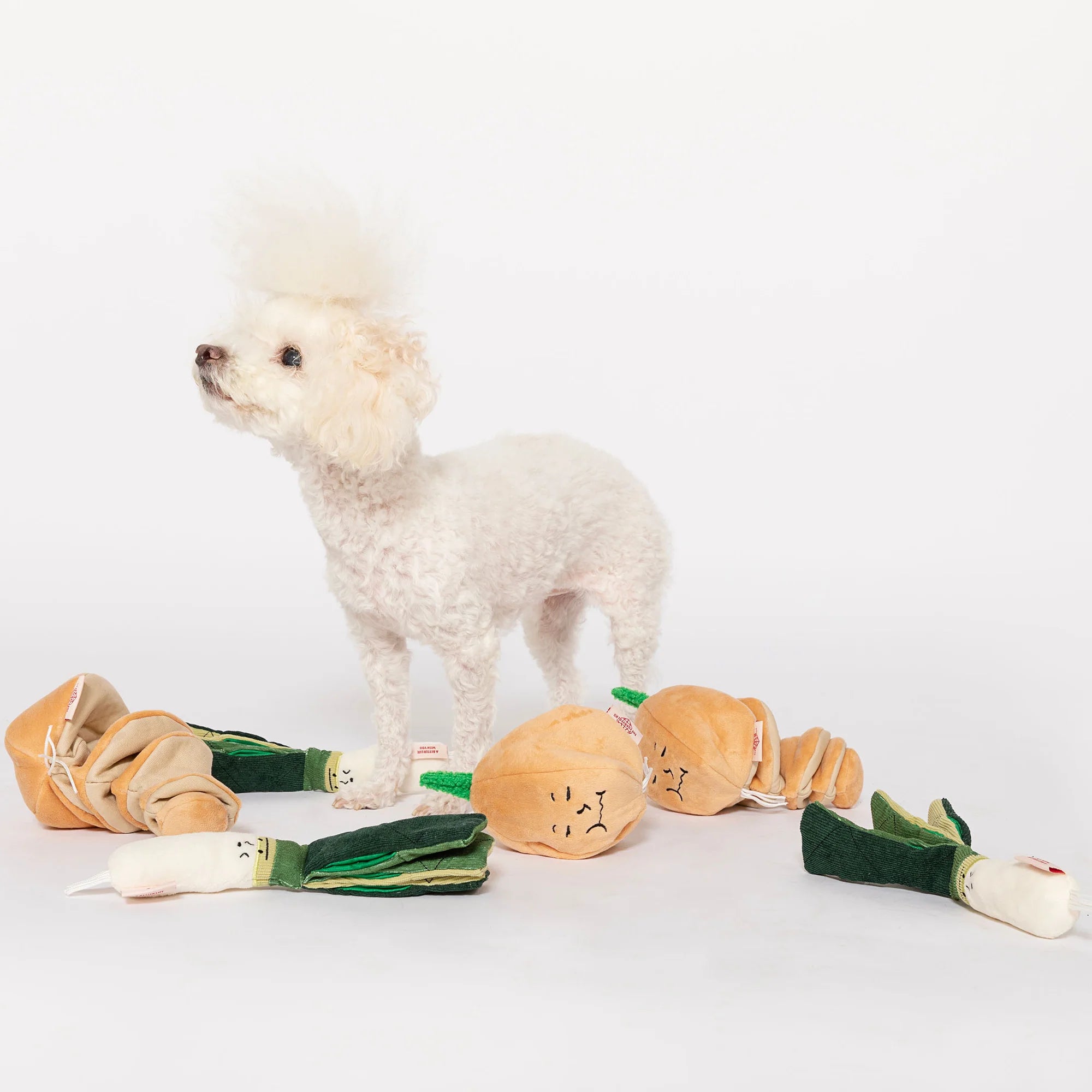 The FurryFolks Green Onion Squeaky Nosework Dog Toy