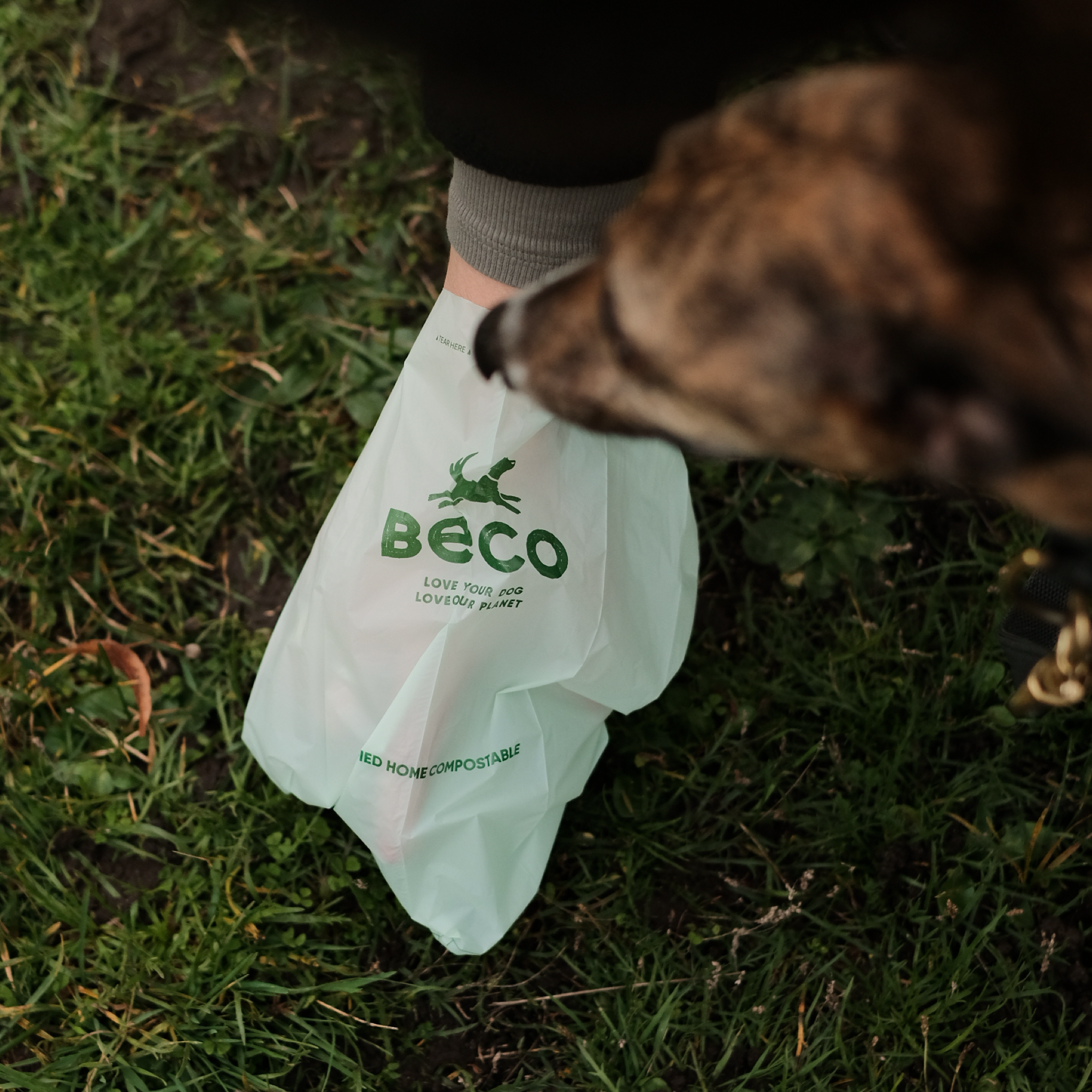 Beco 60-Count Home Compostable Poop Bags - Unscented