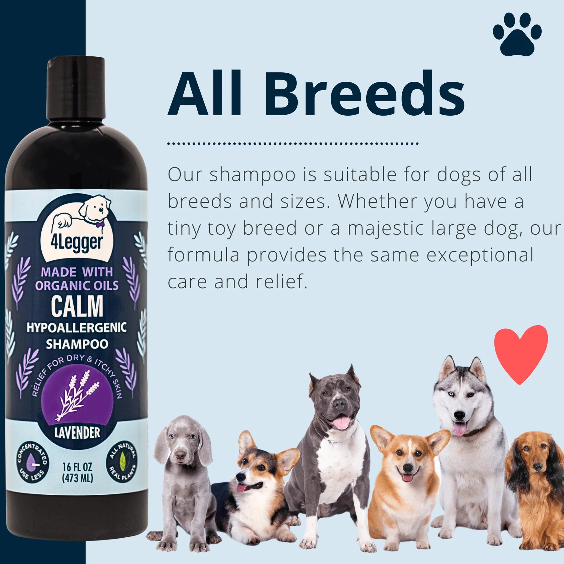4-Legger Calm Shampoo - Lavender With Calendula and St. John’s Wort