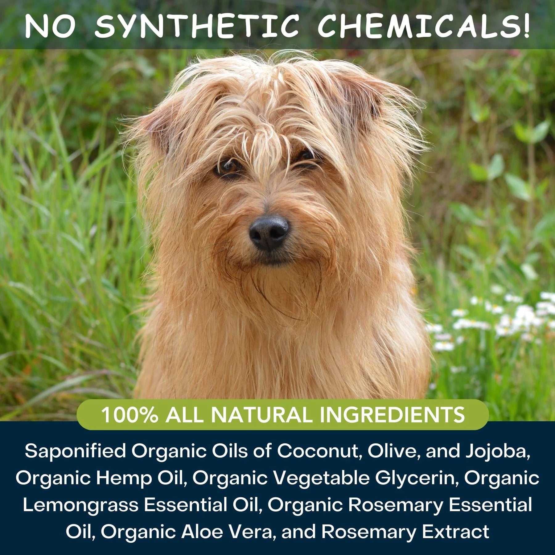 4-Legger Moisturize Shampoo - Hemp with Lemongrass