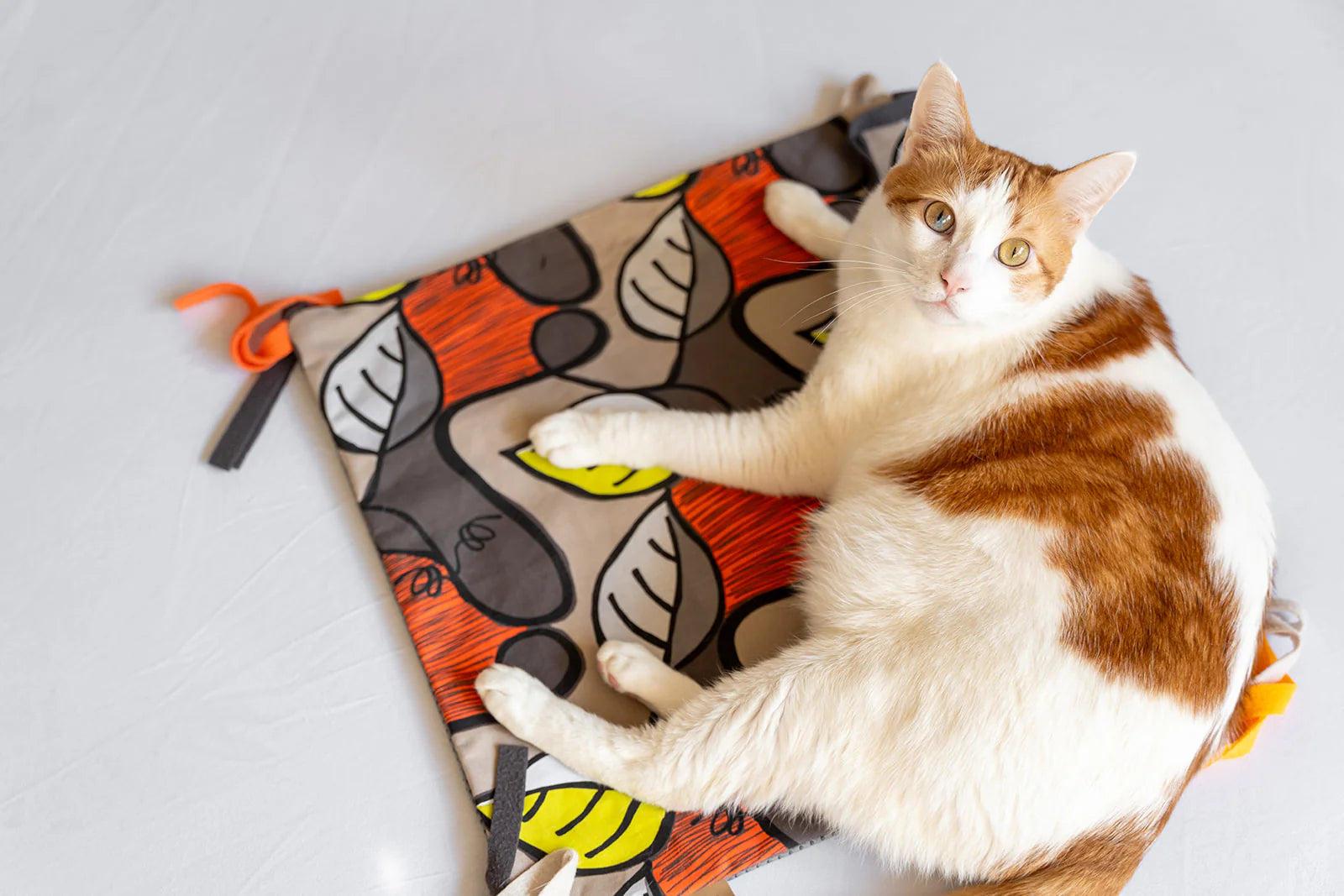 P.L.A.Y Feline Frenzy Purrfect Playtime Mat