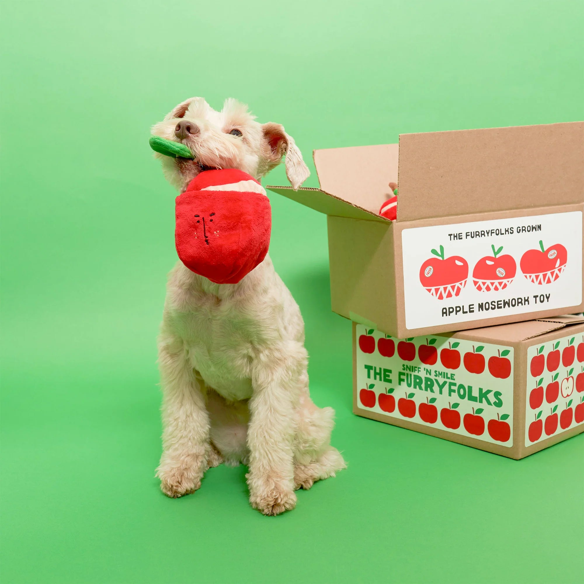 The FurryFolks Apple Squeaky Nosework Dog Toy
