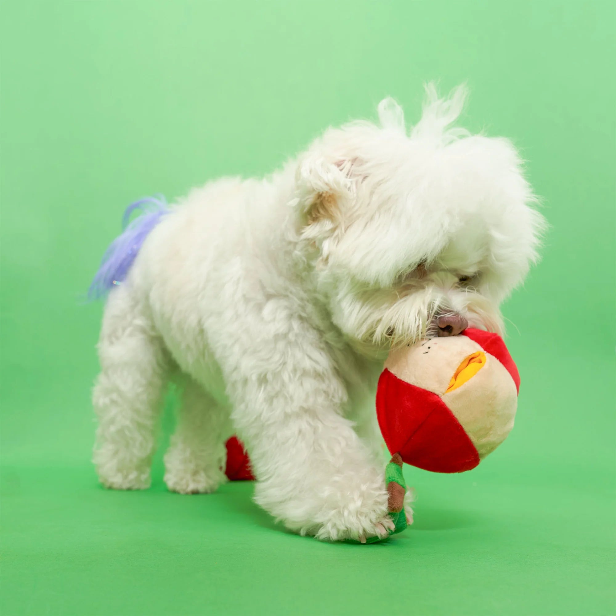 The FurryFolks Apple Squeaky Nosework Dog Toy