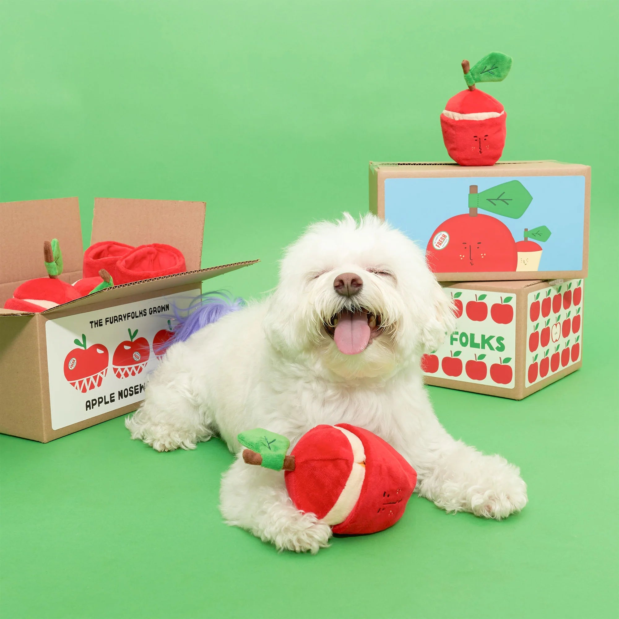 The FurryFolks Apple Squeaky Nosework Dog Toy
