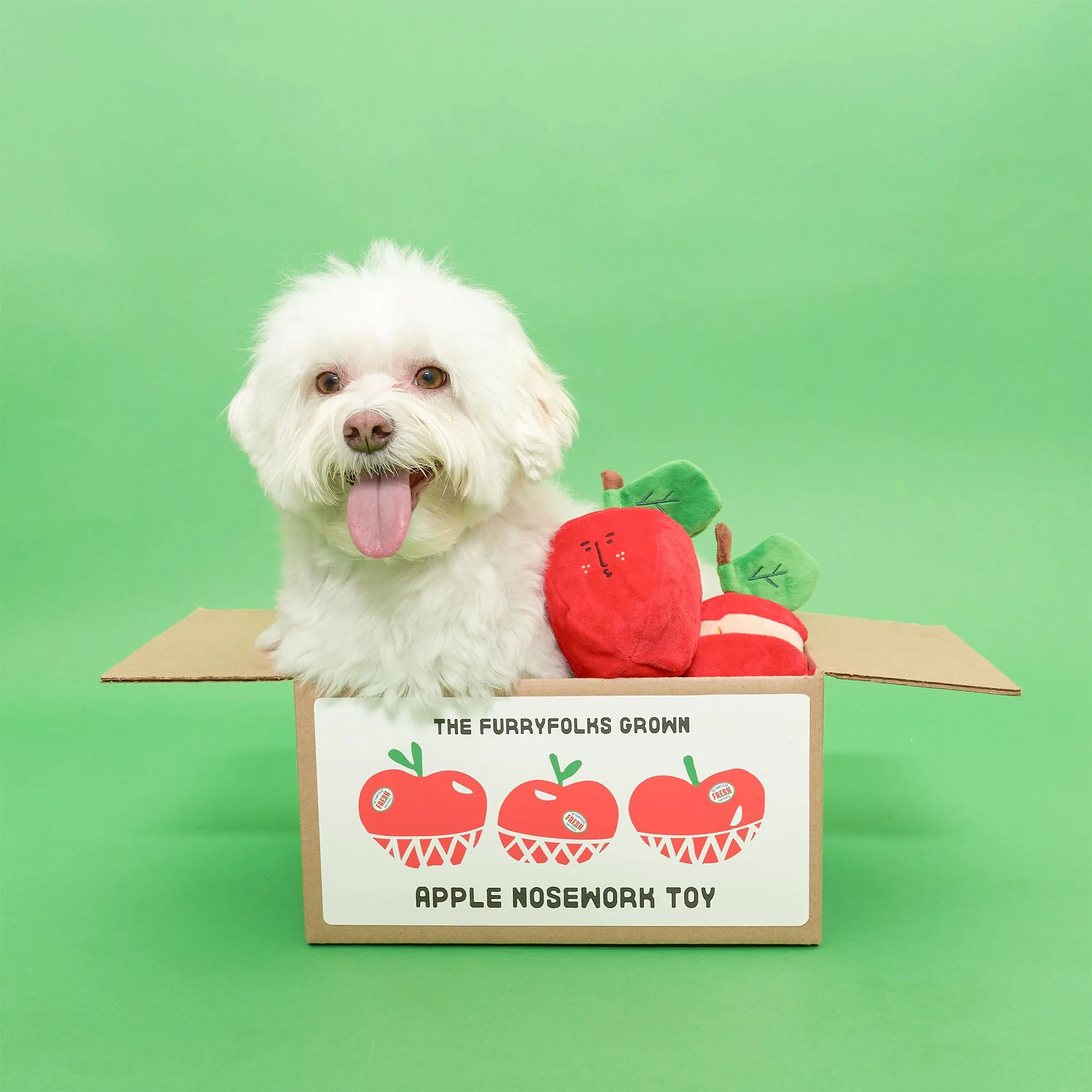 The FurryFolks Apple Squeaky Nosework Dog Toy