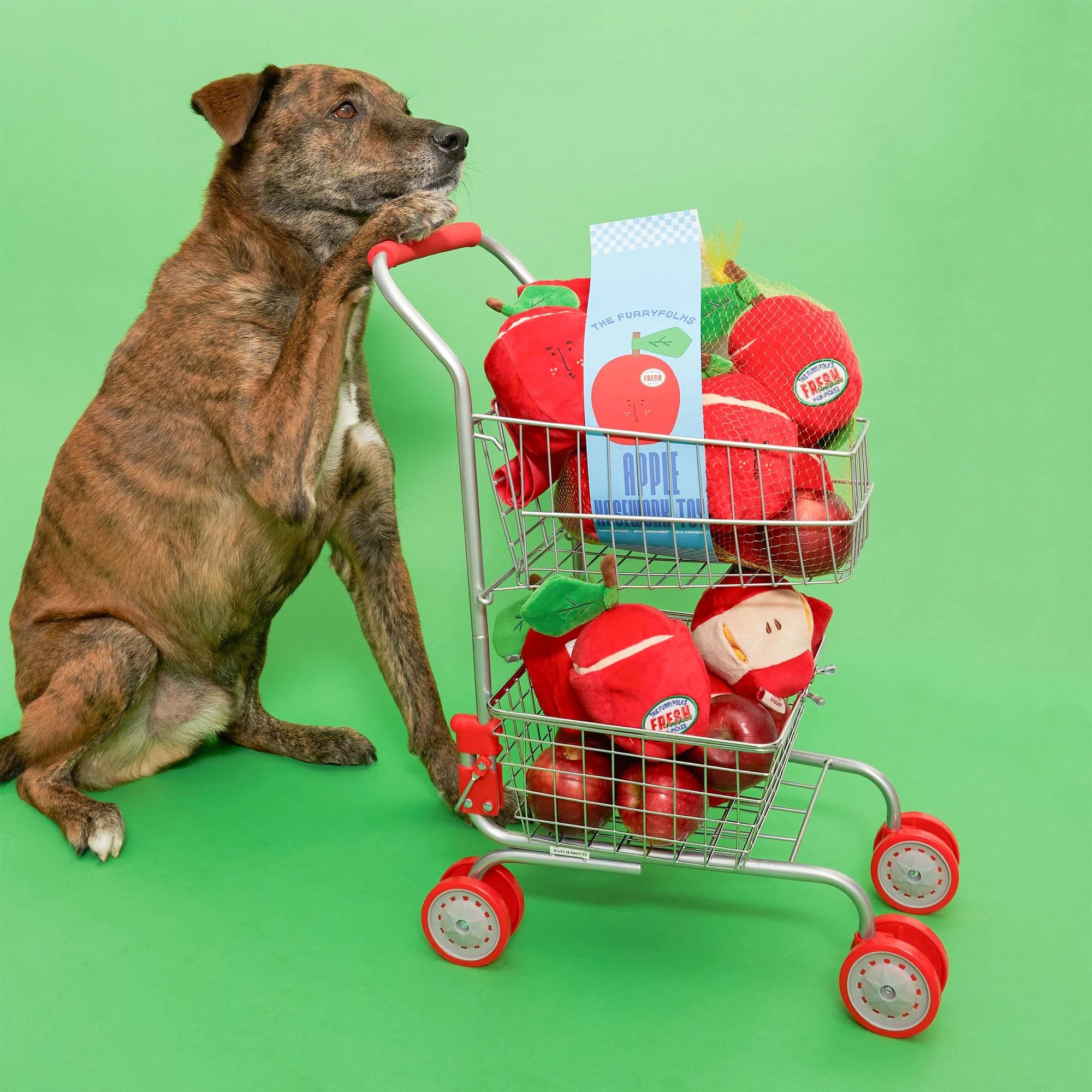 The FurryFolks Apple Squeaky Nosework Dog Toy