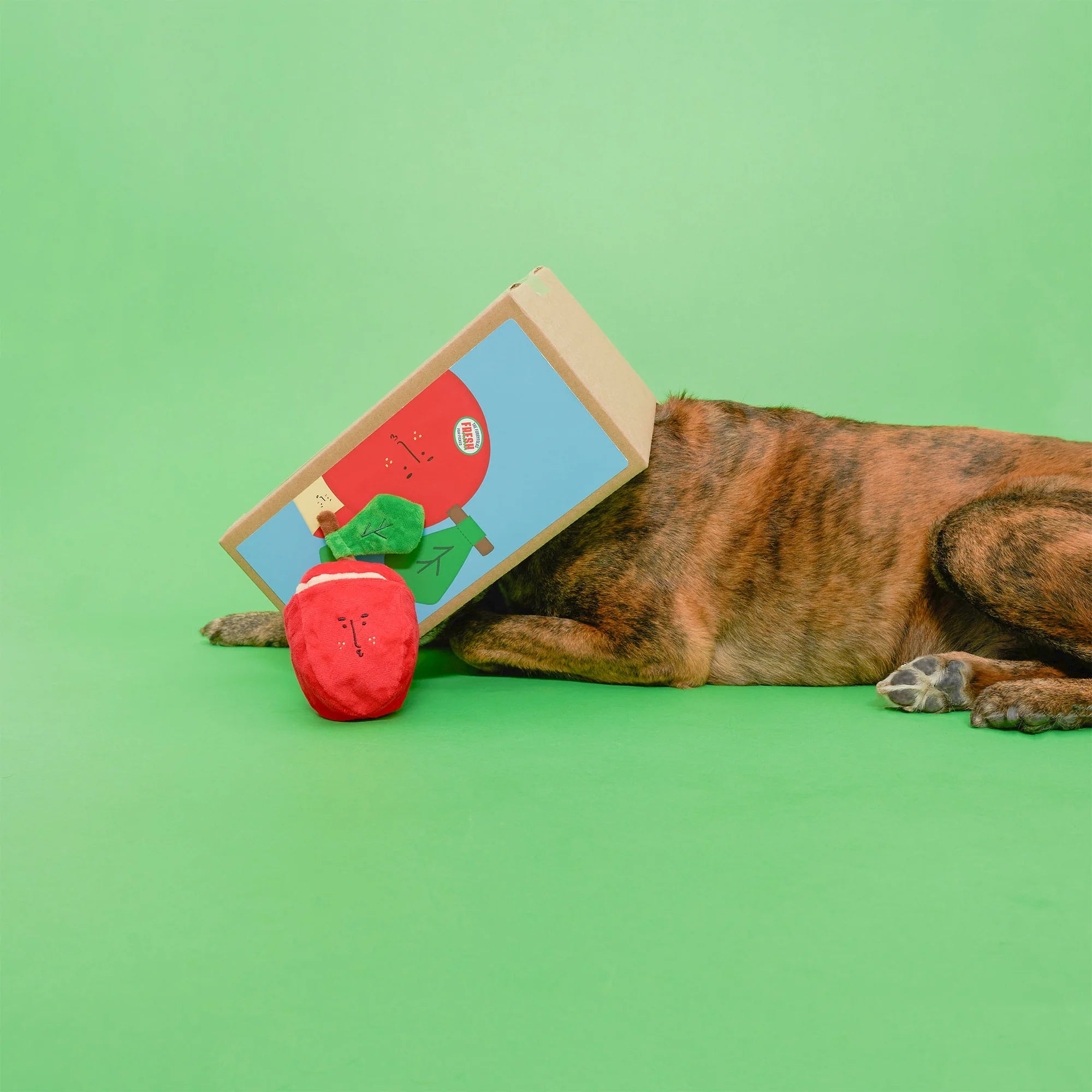 The FurryFolks Apple Squeaky Nosework Dog Toy