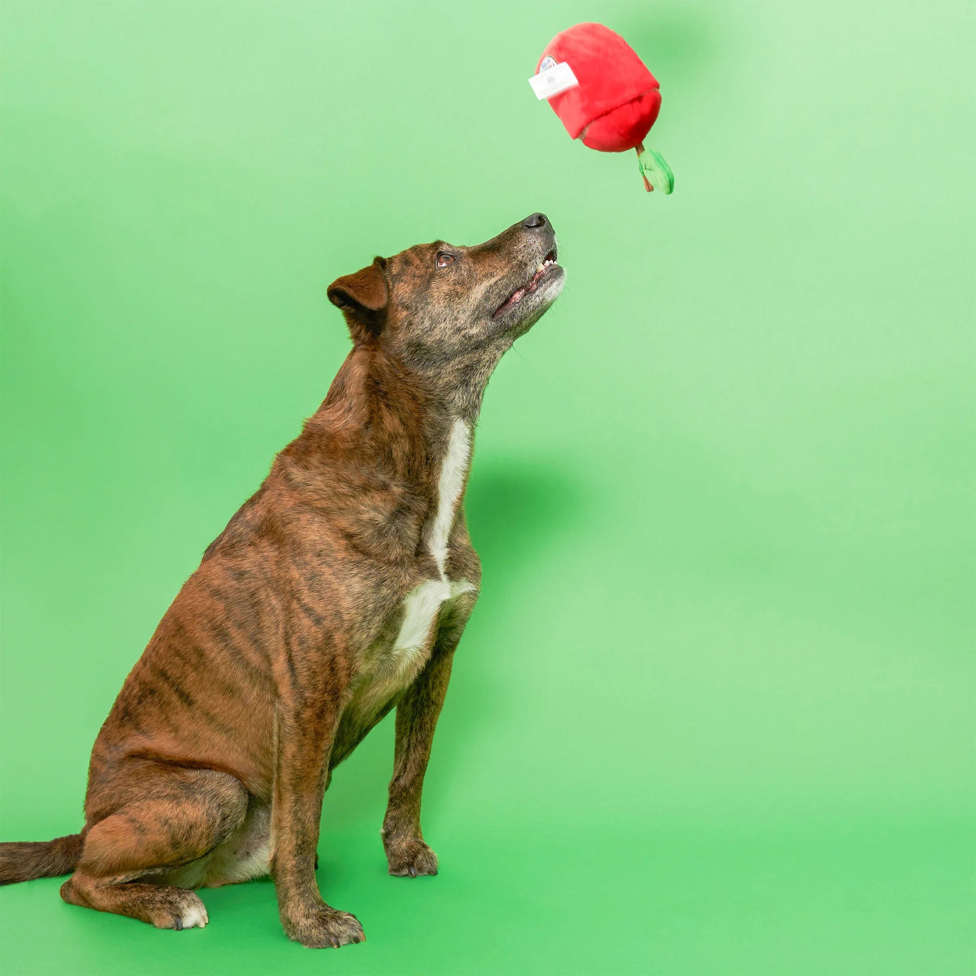 The FurryFolks Apple Squeaky Nosework Dog Toy