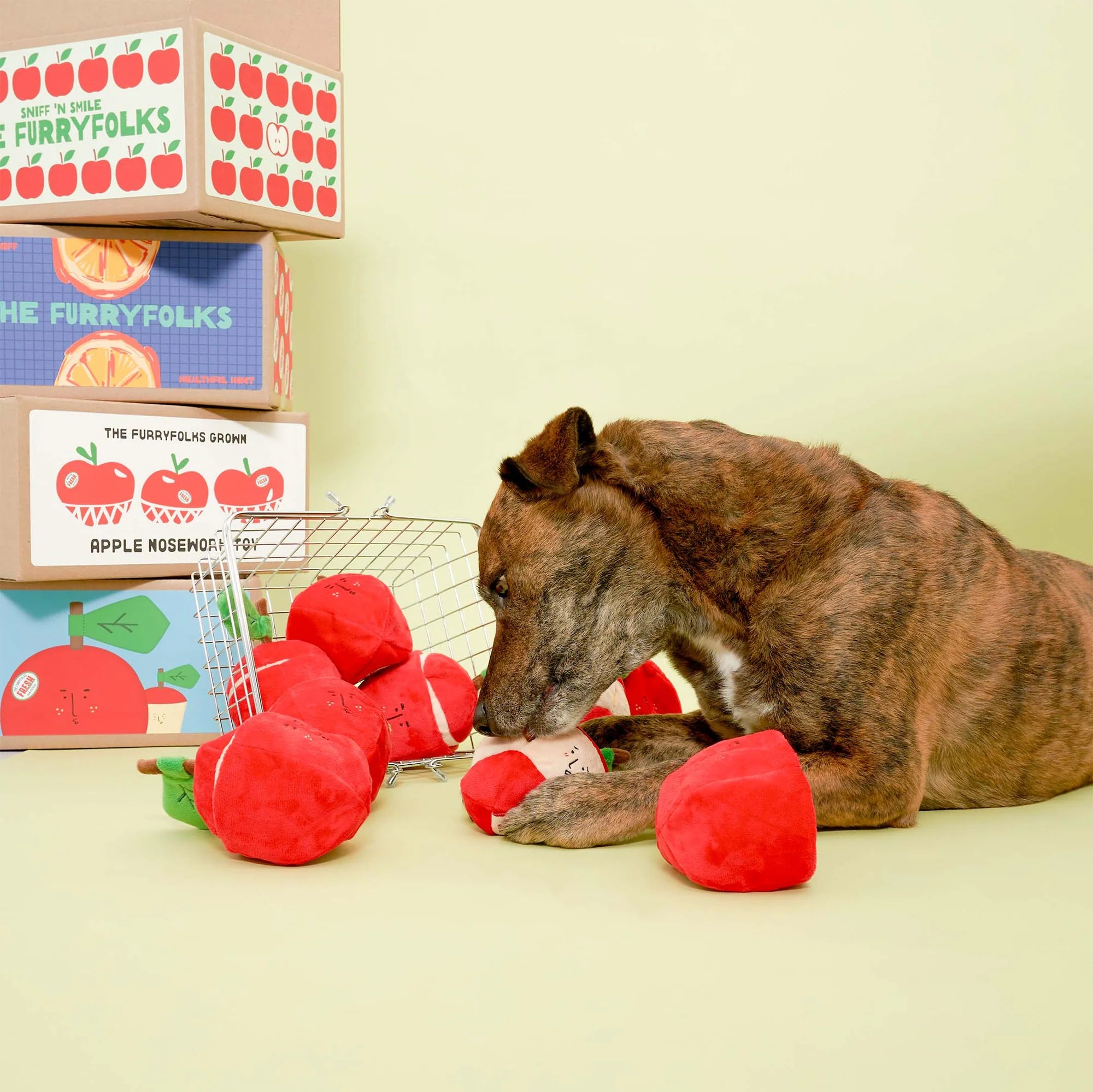 The FurryFolks Apple Squeaky Nosework Dog Toy