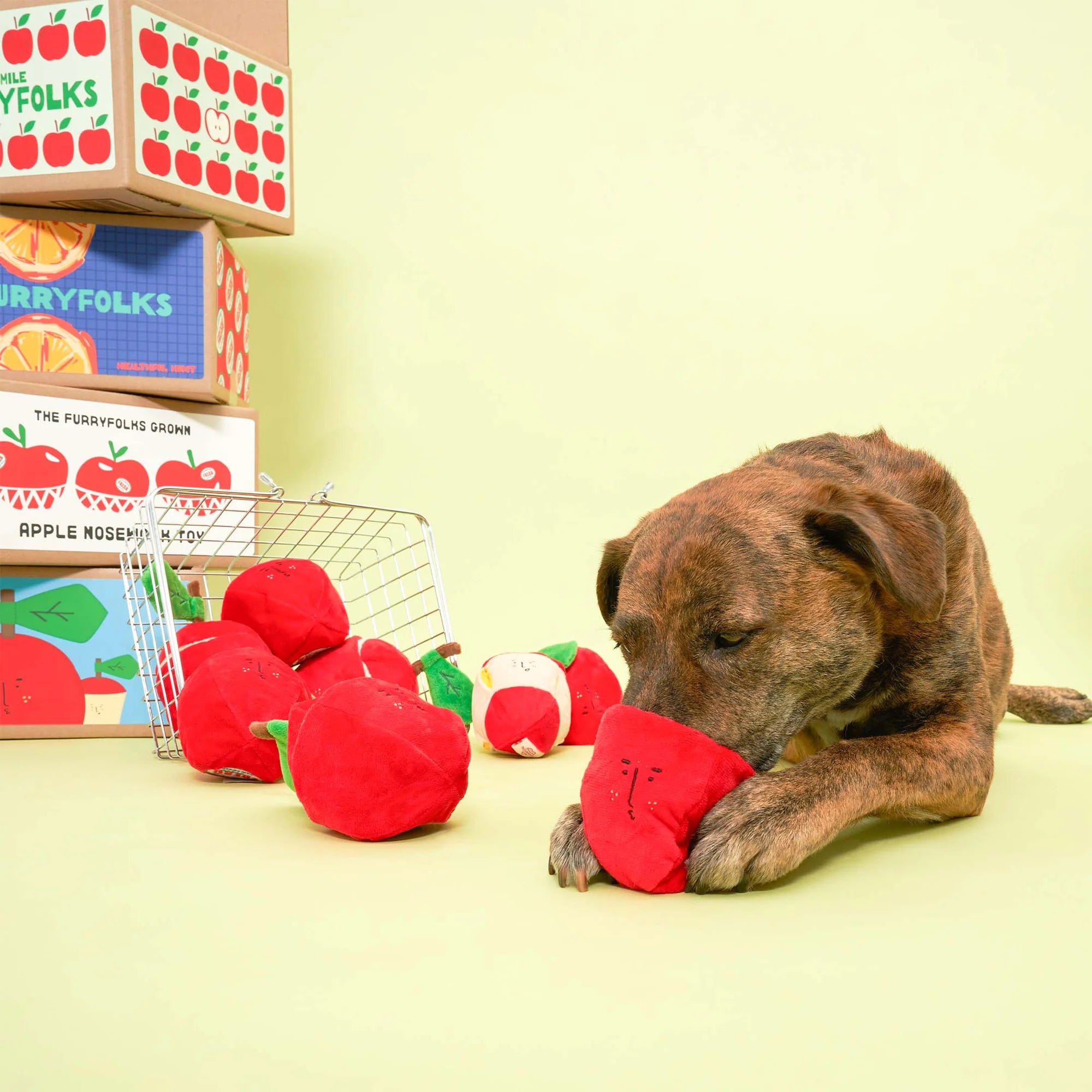 The FurryFolks Apple Squeaky Nosework Dog Toy