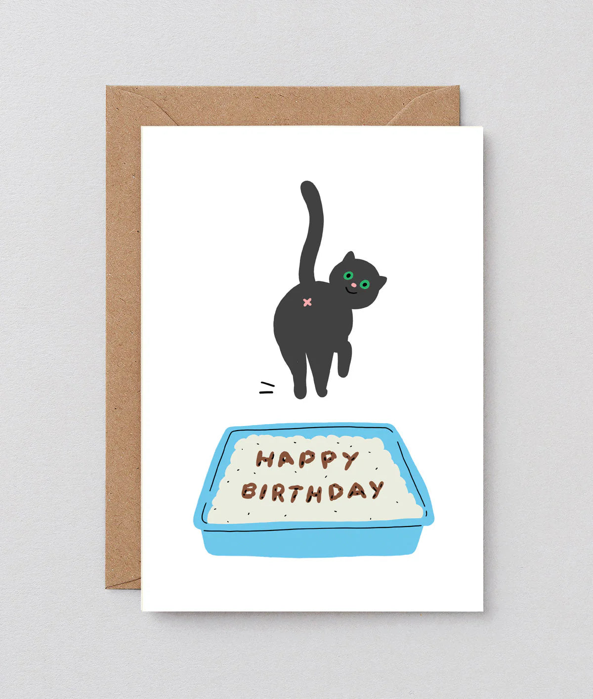 Birthday Cat Poop by Holly St Clair