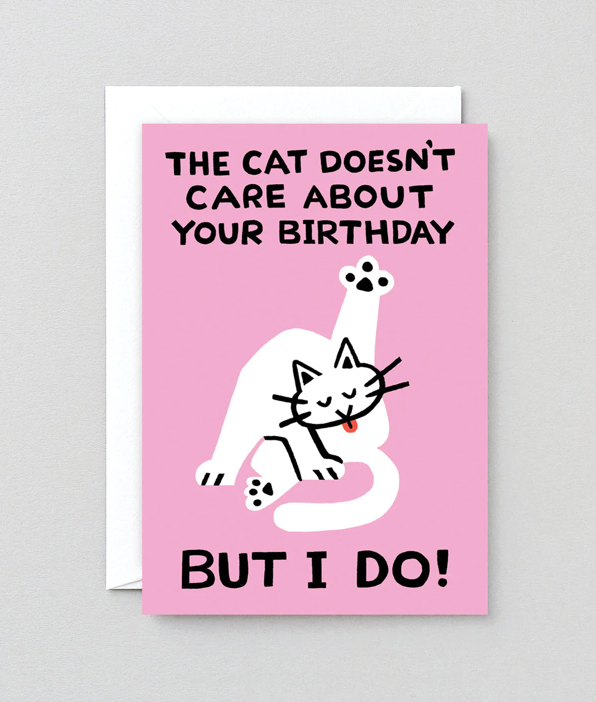 The Cat Doesn't Care by Cari Vander Yacht