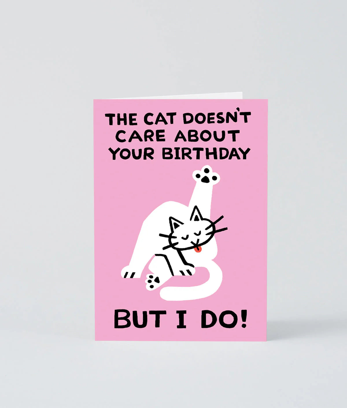 The Cat Doesn't Care by Cari Vander Yacht