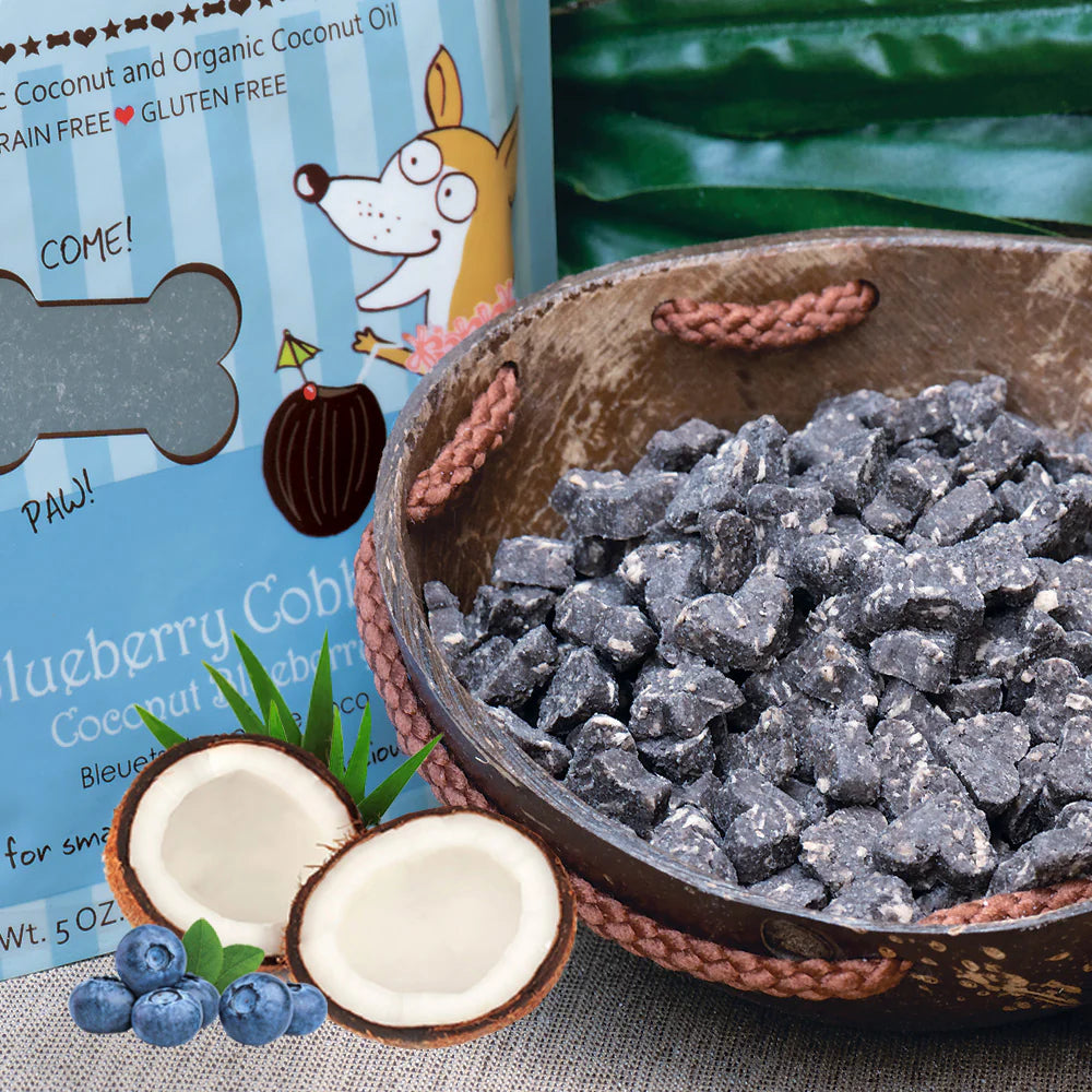 CocoTherapy Coco-Charms Blueberry Cobbler Training Treats