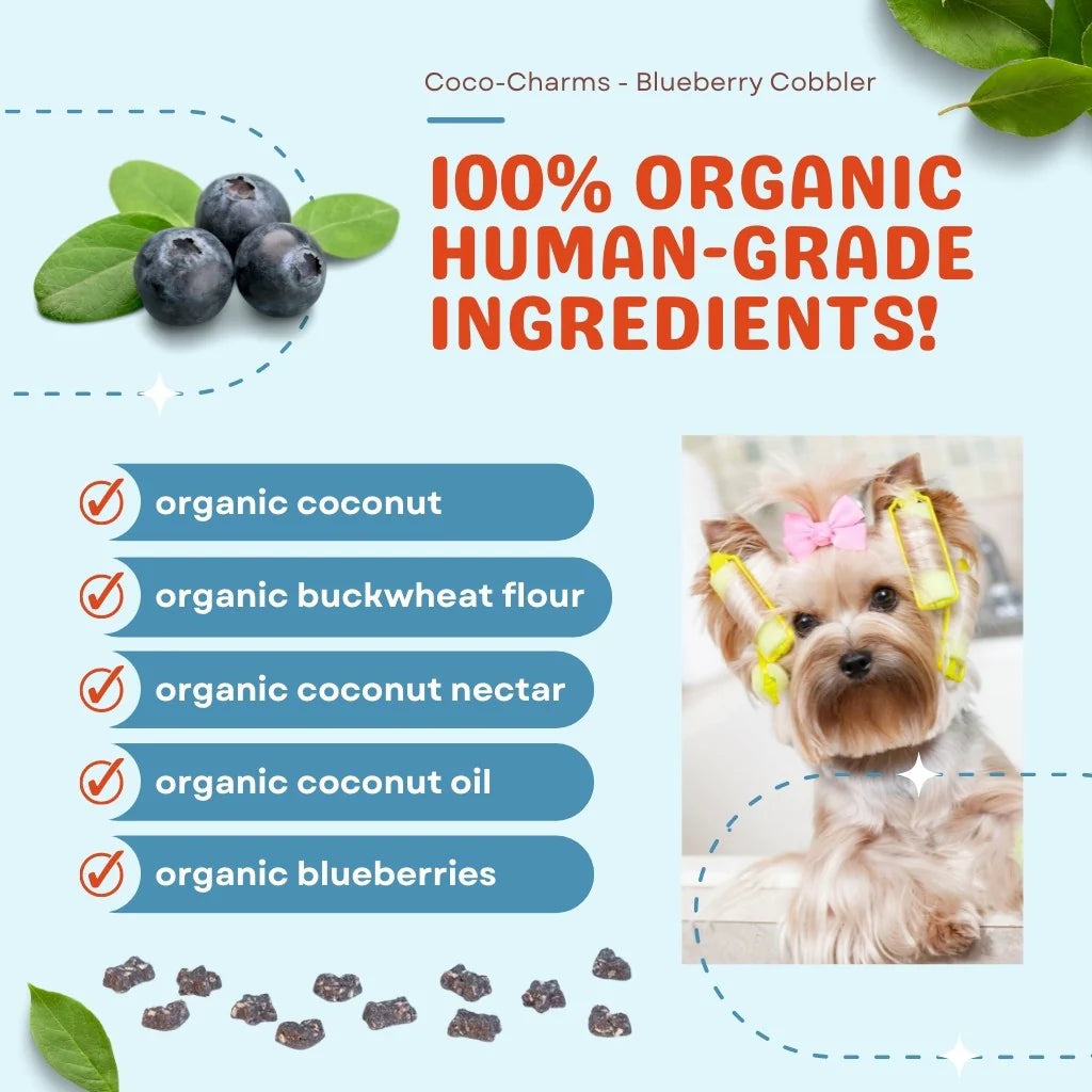 CocoTherapy Coco-Charms Blueberry Cobbler Training Treats