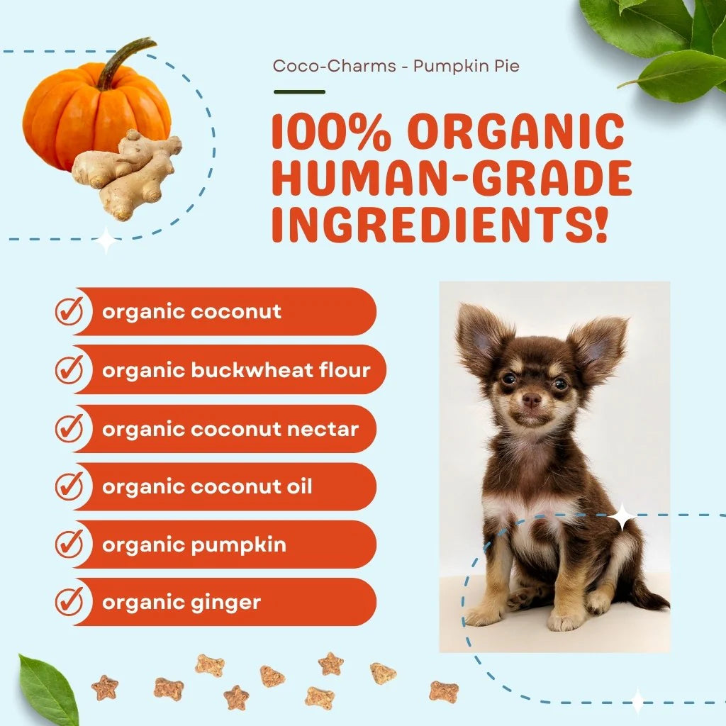 CocoTherapy Coco-Charms Pumpkin Pie Training Treats