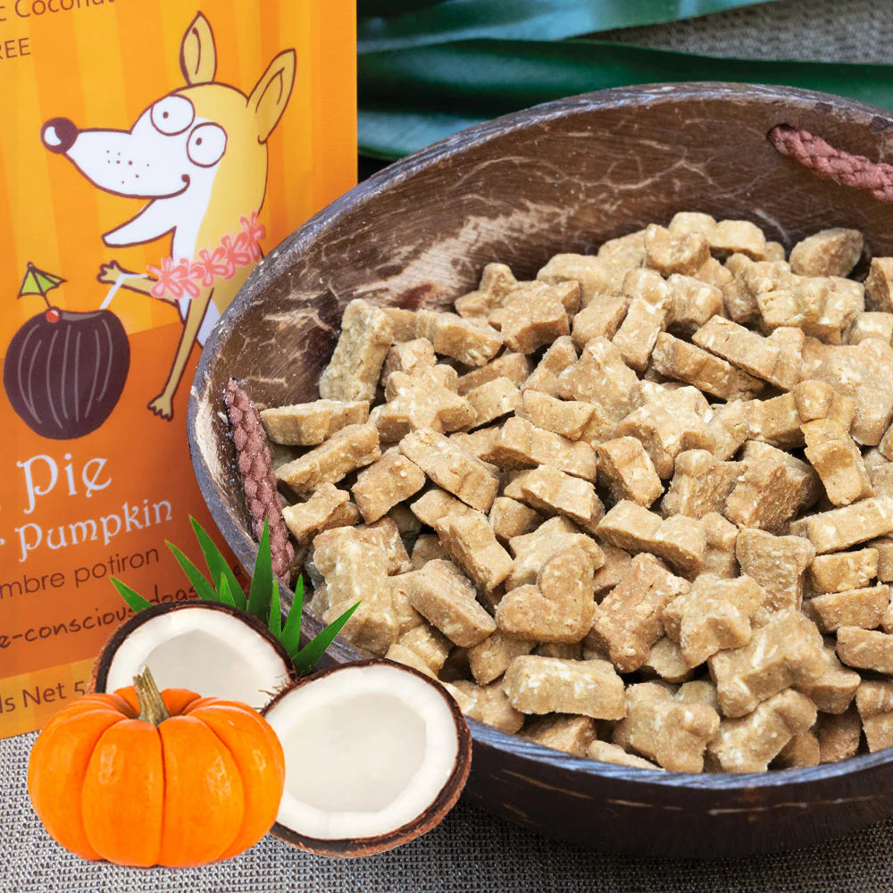 CocoTherapy Coco-Charms Pumpkin Pie Training Treats