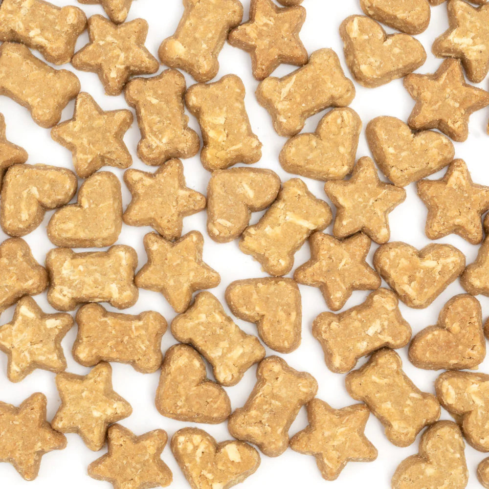 CocoTherapy Coco-Charms Pumpkin Pie Training Treats
