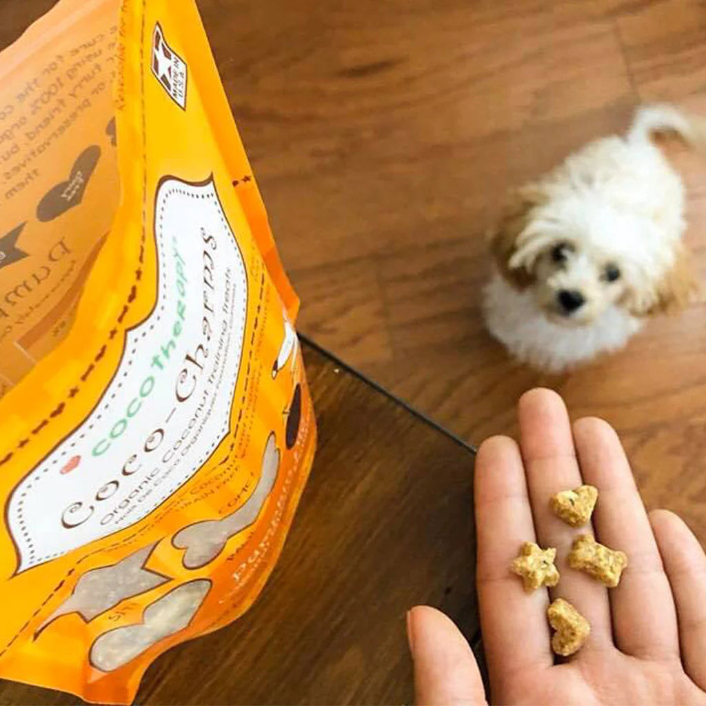 CocoTherapy Coco-Charms Pumpkin Pie Training Treats