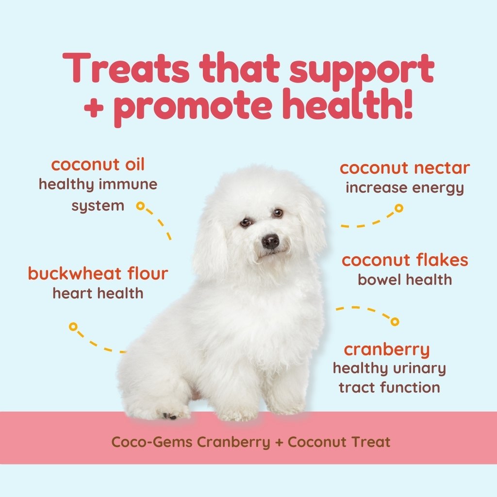 CocoTherapy Coco-Gems Organic Training Treats Cranberry + Coconut