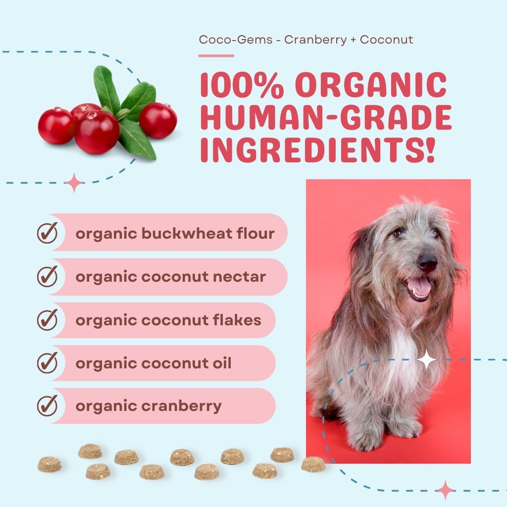 CocoTherapy Coco-Gems Organic Training Treats Cranberry + Coconut