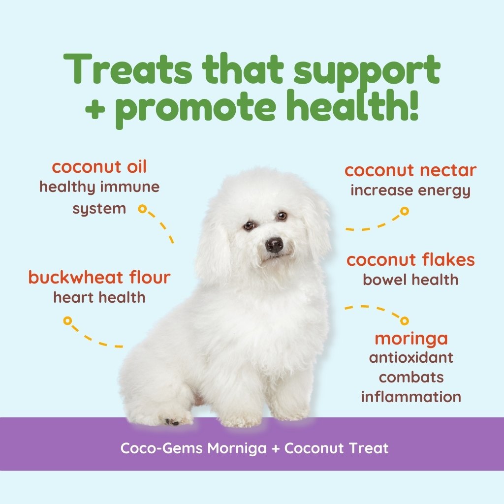 CocoTherapy Coco-Gems Organic Training Treats Moringa + Coconut