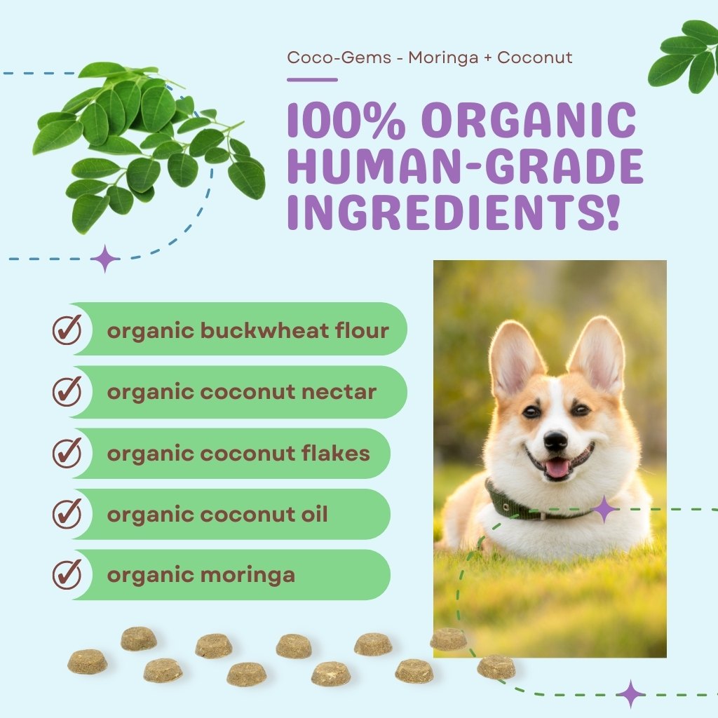 CocoTherapy Coco-Gems Organic Training Treats Moringa + Coconut