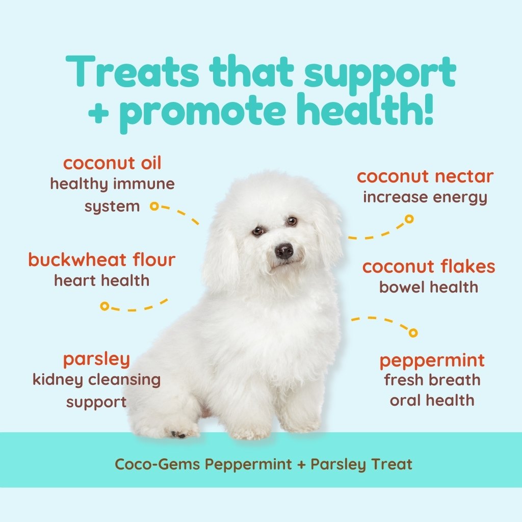CocoTherapy Coco-Gems Training Treats Peppermint + Parsley