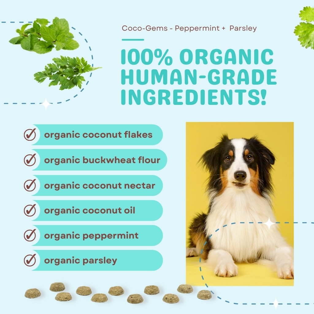 CocoTherapy Coco-Gems Training Treats Peppermint + Parsley