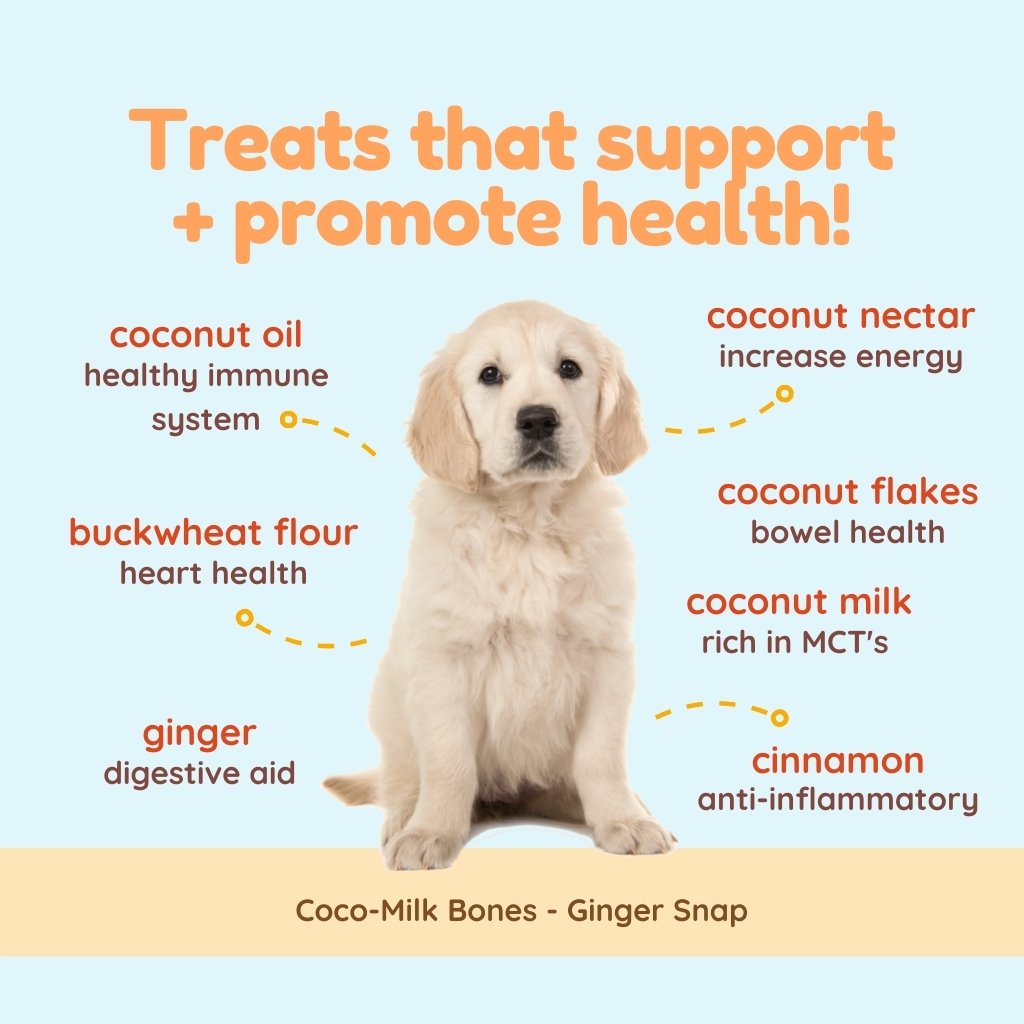 (EXP 06/25) CocoTherapy Coco-Milk Bones Organic Ginger Snaps Biscuit