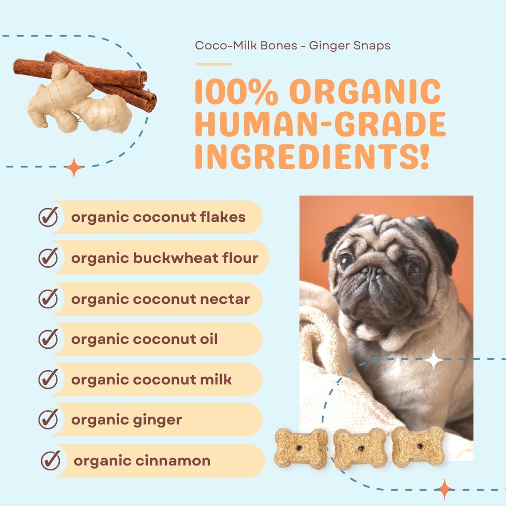 (EXP 06/25) CocoTherapy Coco-Milk Bones Organic Ginger Snaps Biscuit