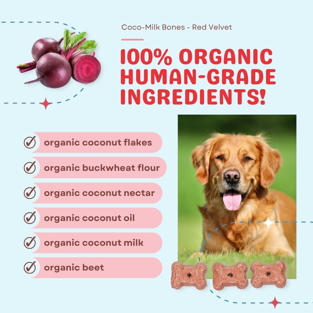 CocoTherapy Coco-Milk Bones Organic Red Velvet Biscuit