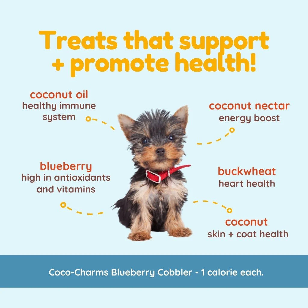 CocoTherapy Coco-Charms Blueberry Cobbler Training Treats