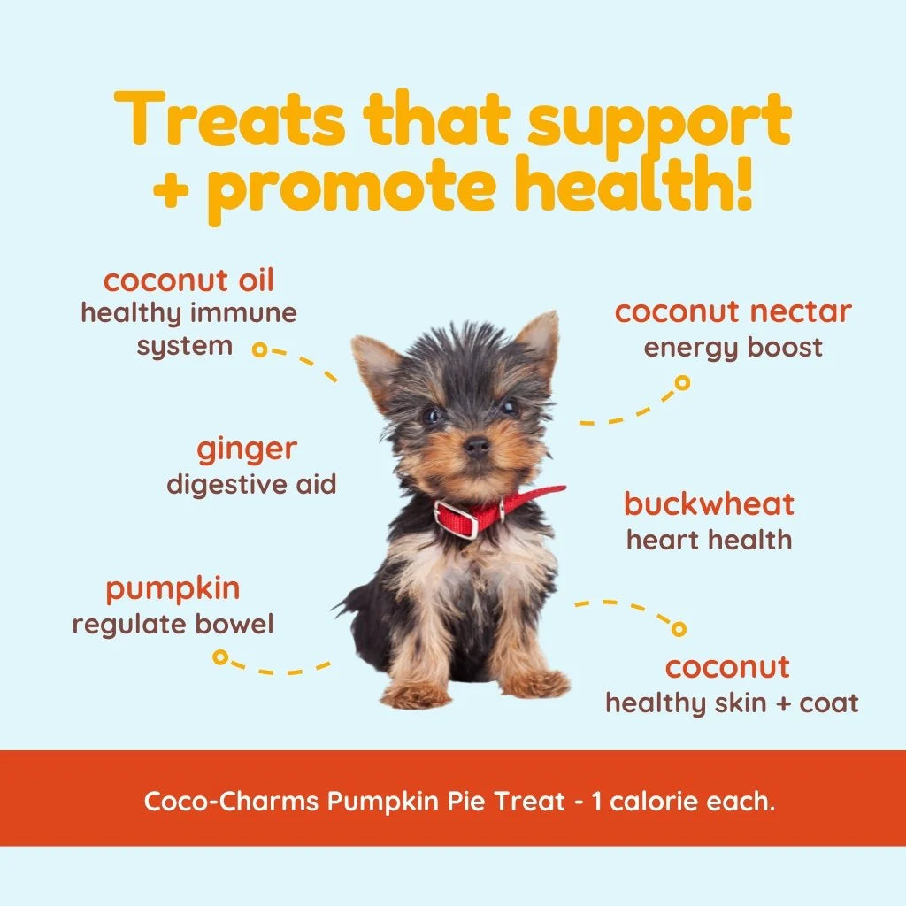 CocoTherapy Coco-Charms Pumpkin Pie Training Treats