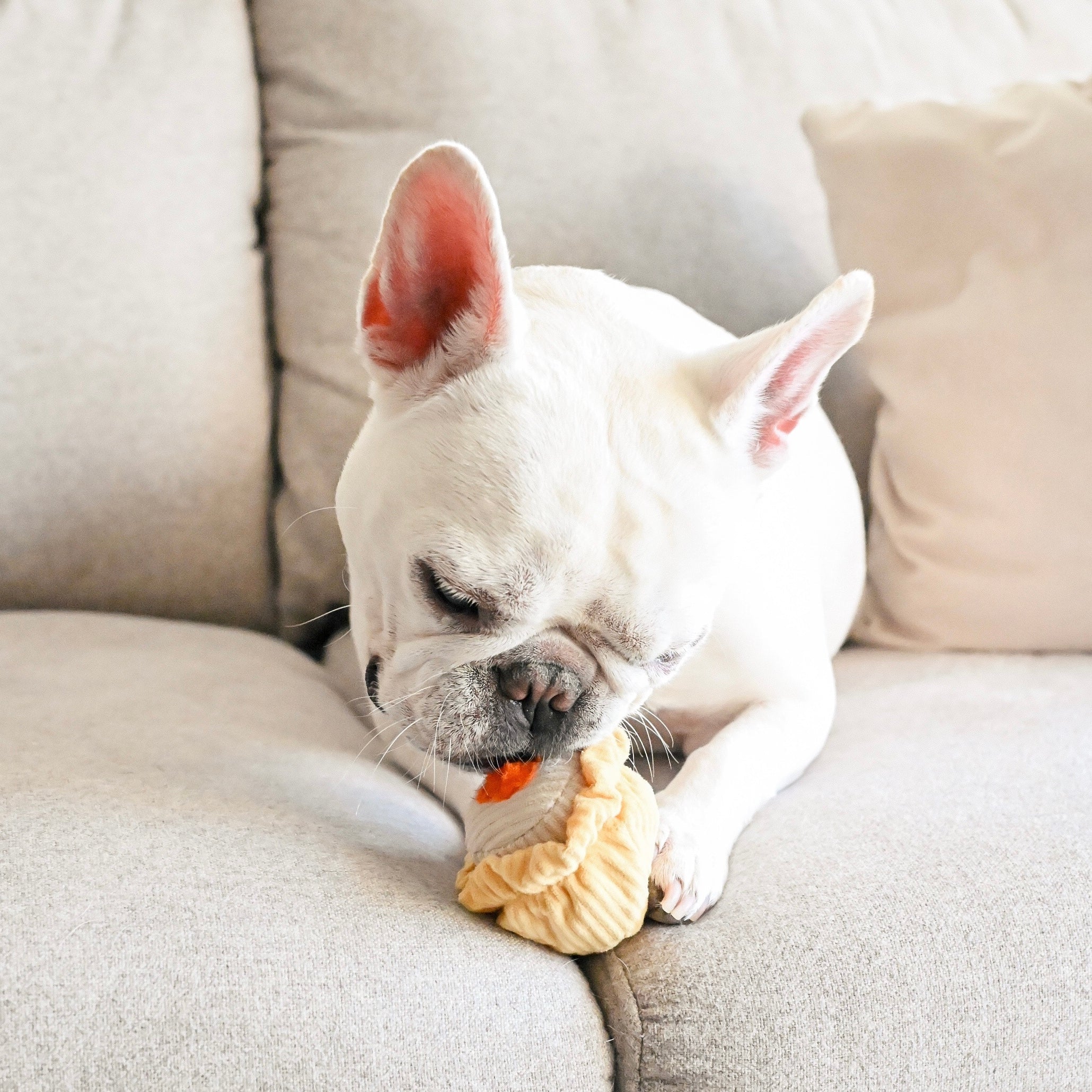 Lambwolf Dim Sum Pop Squeaky Toy