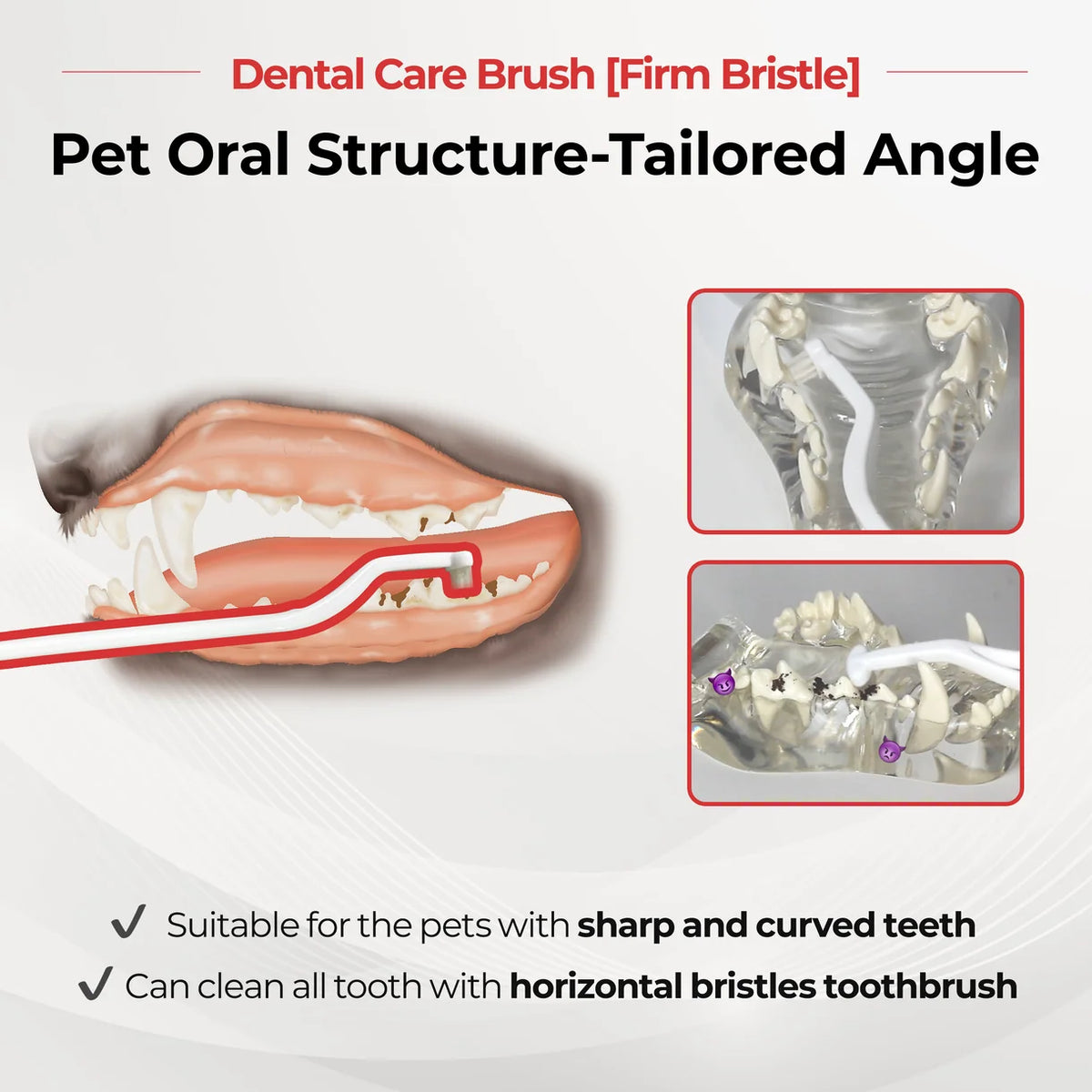 Jayu Pet Dental Brush Firm | Adult Dogs
