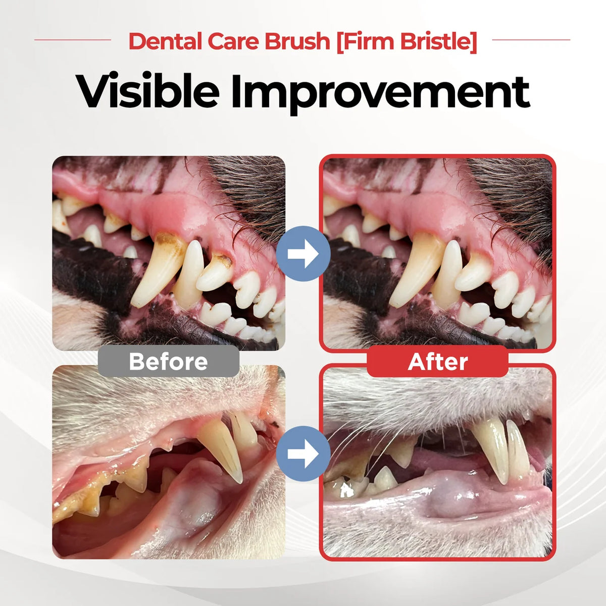 Jayu Pet Dental Brush Firm | Adult Dogs