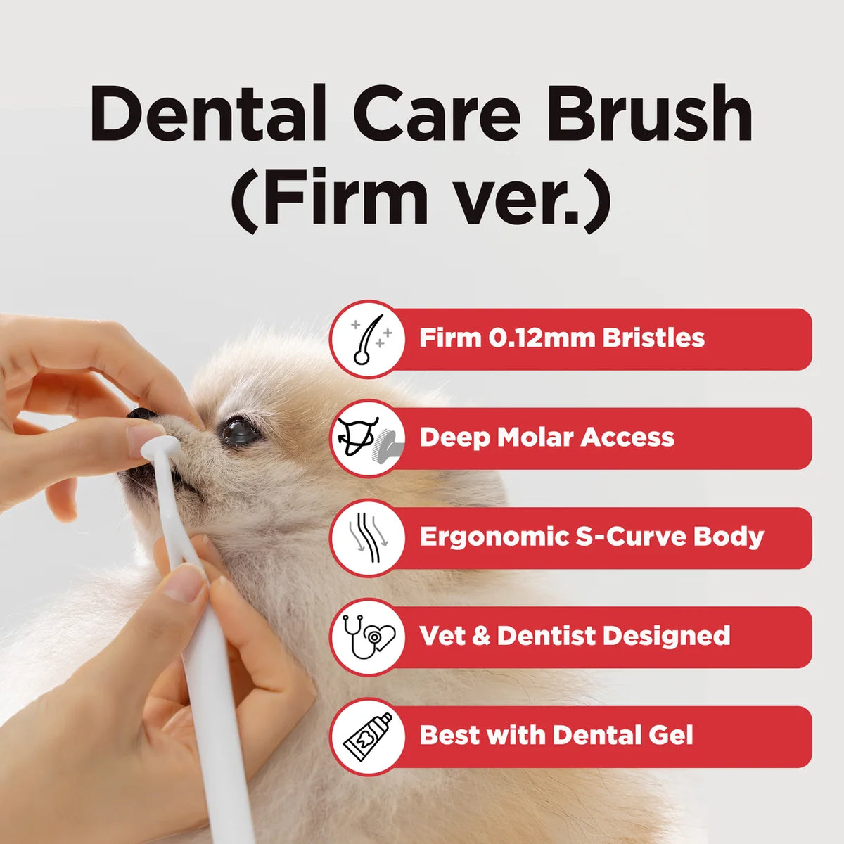 Jayu Pet Dental Brush Firm | Adult Dogs