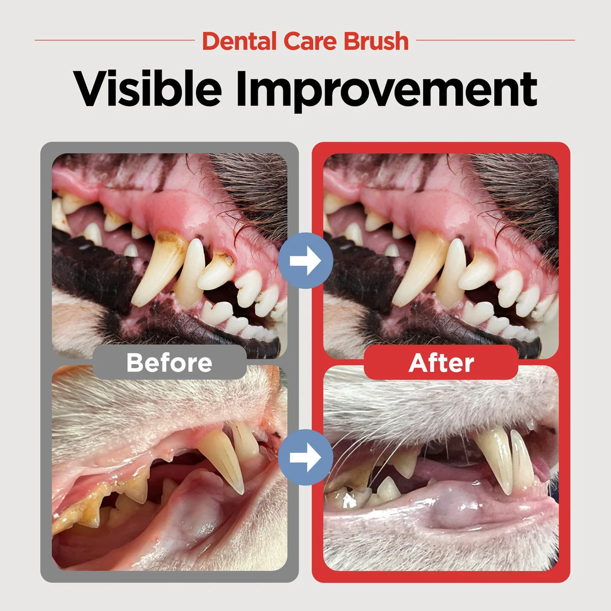 Jayu Pet Dental Brush Soft | Kittens, Puppies, Sensitive Gums