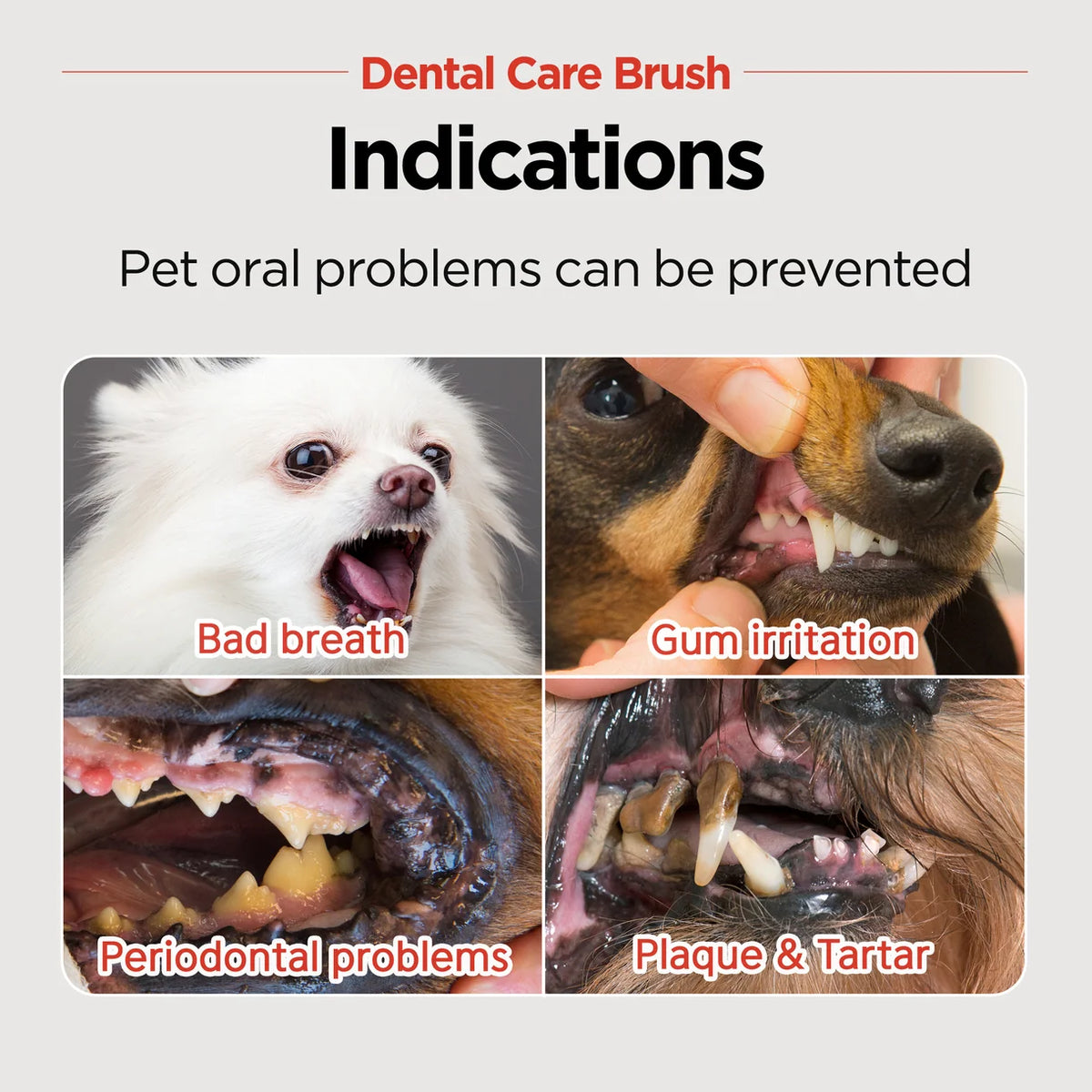Jayu Pet Dental Brush Soft | Kittens, Puppies, Sensitive Gums