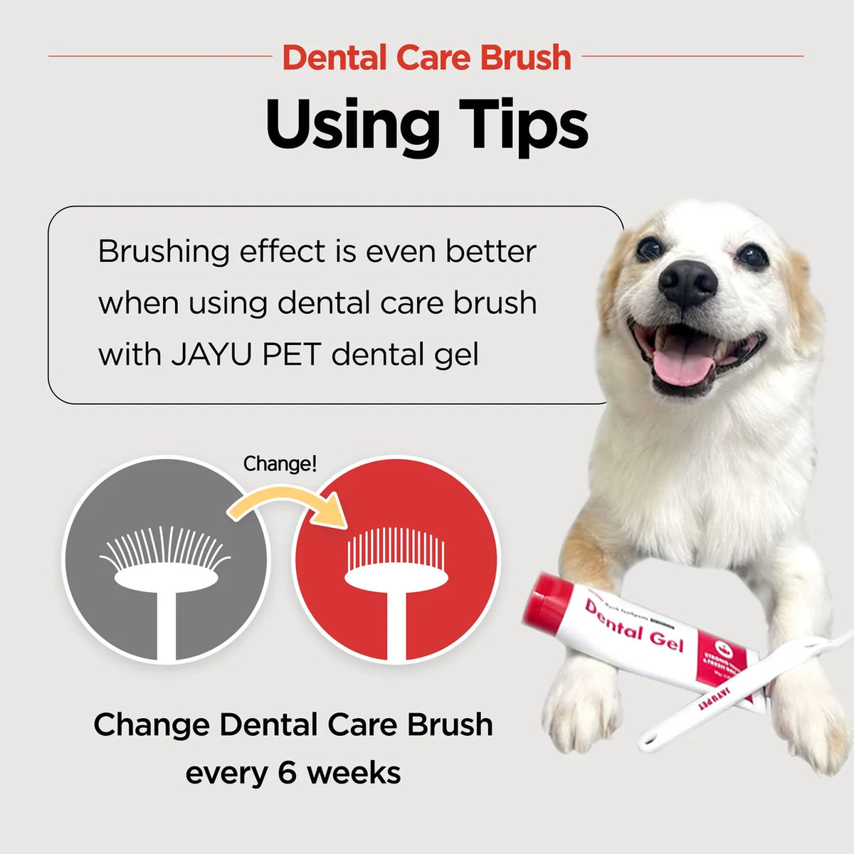 Jayu Pet Dental Brush Soft | Kittens, Puppies, Sensitive Gums