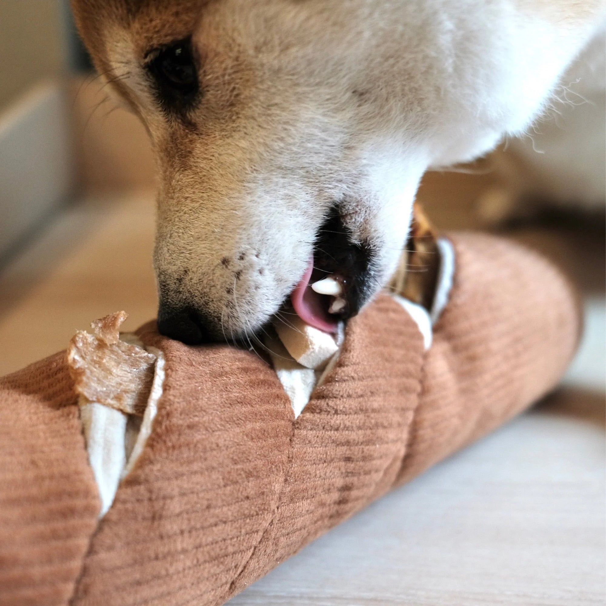 Lambwolf Baguette Snuffle & Squeaky Toy