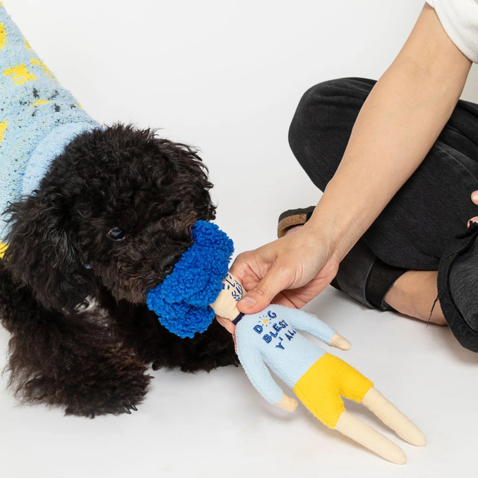 The FurryFolks Dog Bless Hooman Nosework Toy