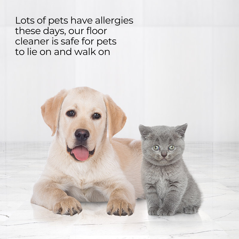 IDOCARE Eucalyptus Garden Concentrated Floor Cleaner (Pet-Safe)