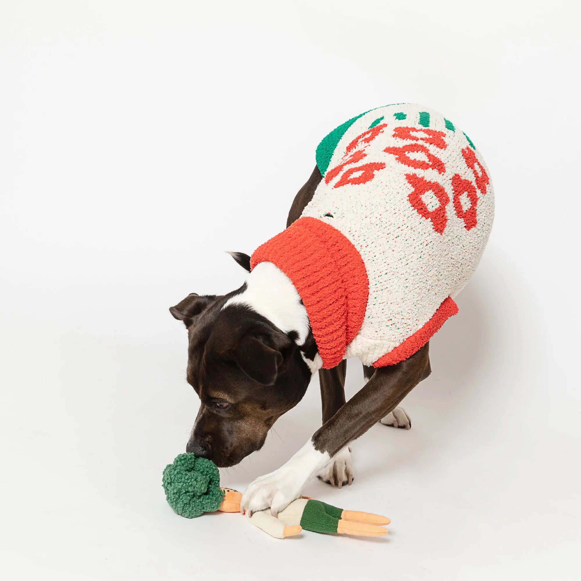 The FurryFolks Flower Hooman Nosework Toy