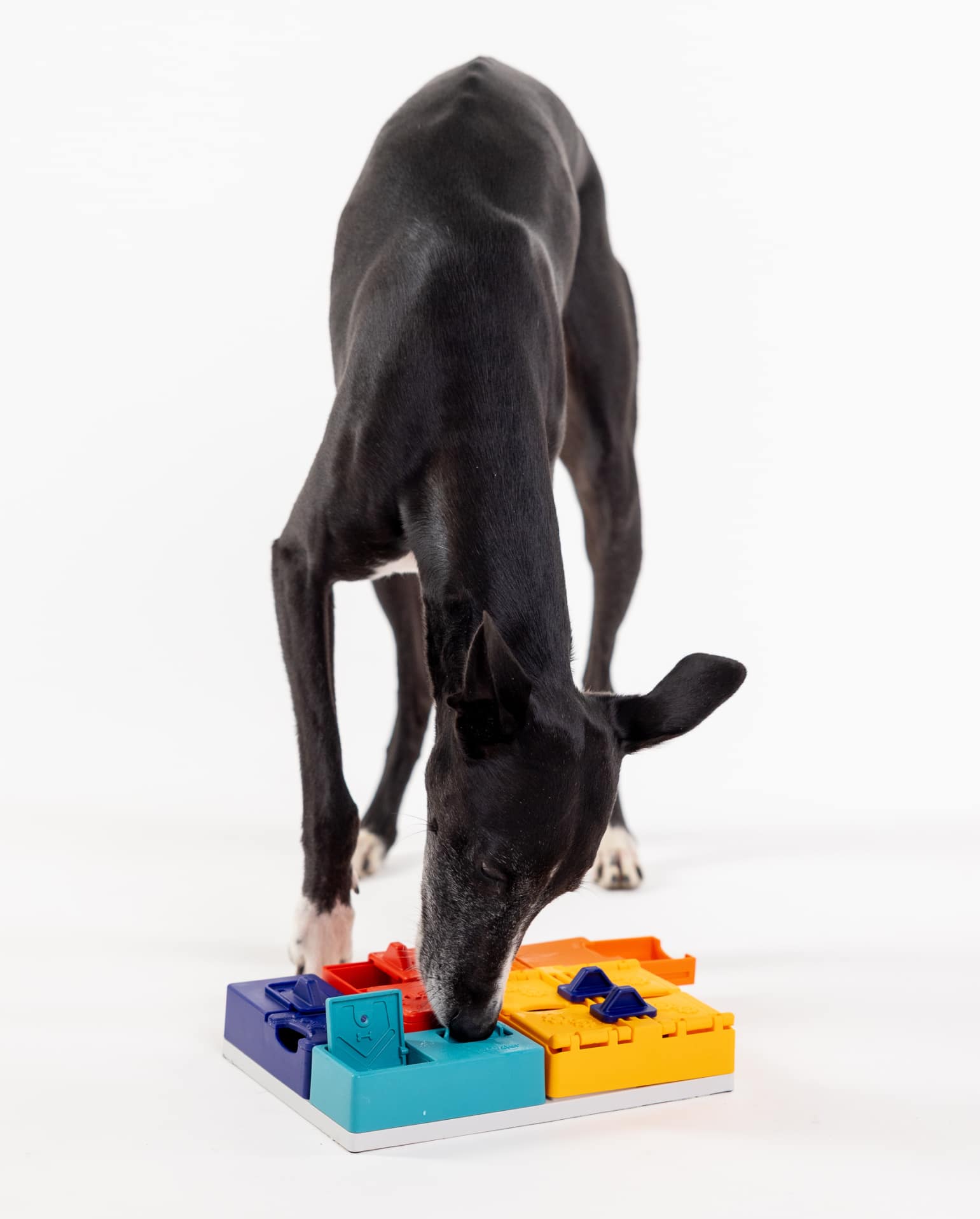Pawzler Modular Dog Puzzle - Genius Set